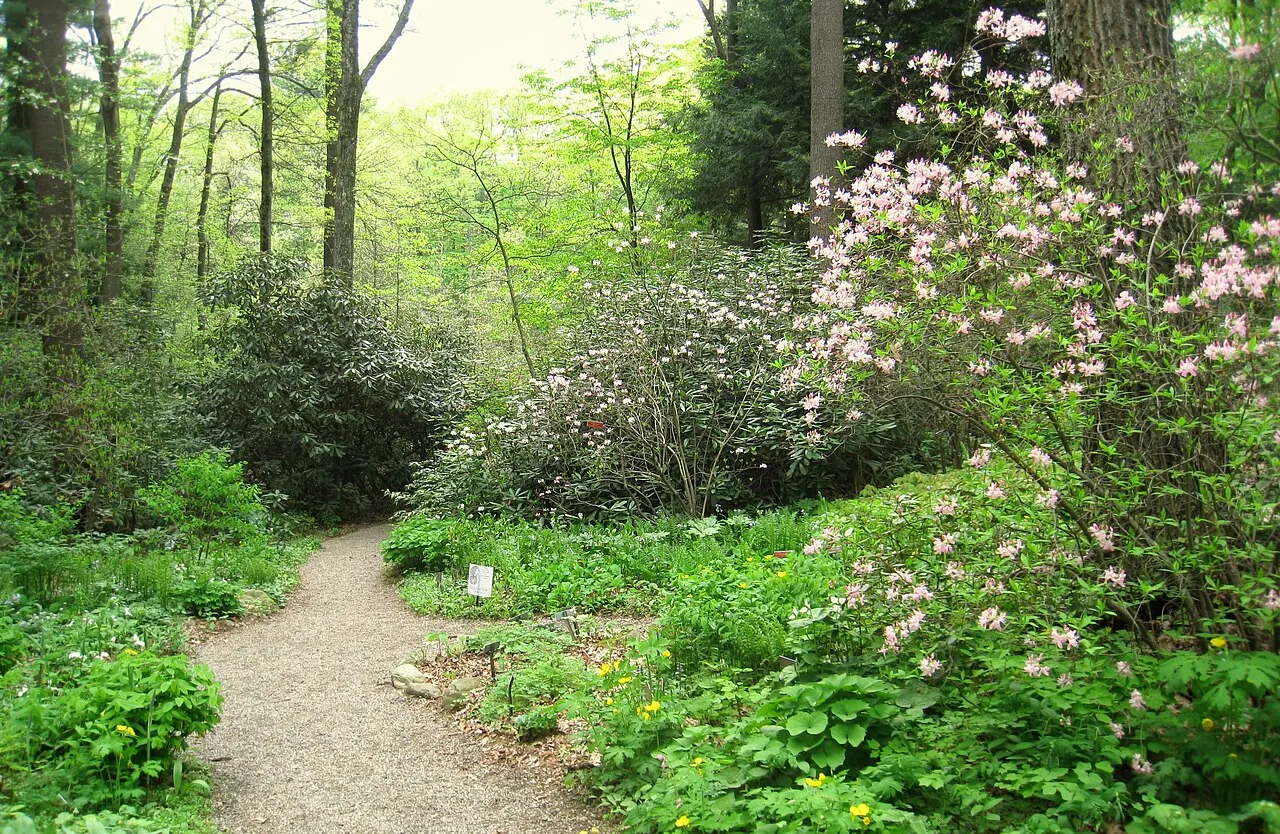 Garden in the Woods, Framingham, Massachusetts, United States