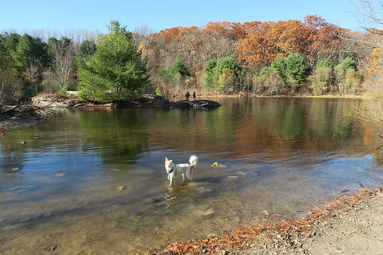 Callahan State Park, Framingham, Massachusetts, United States