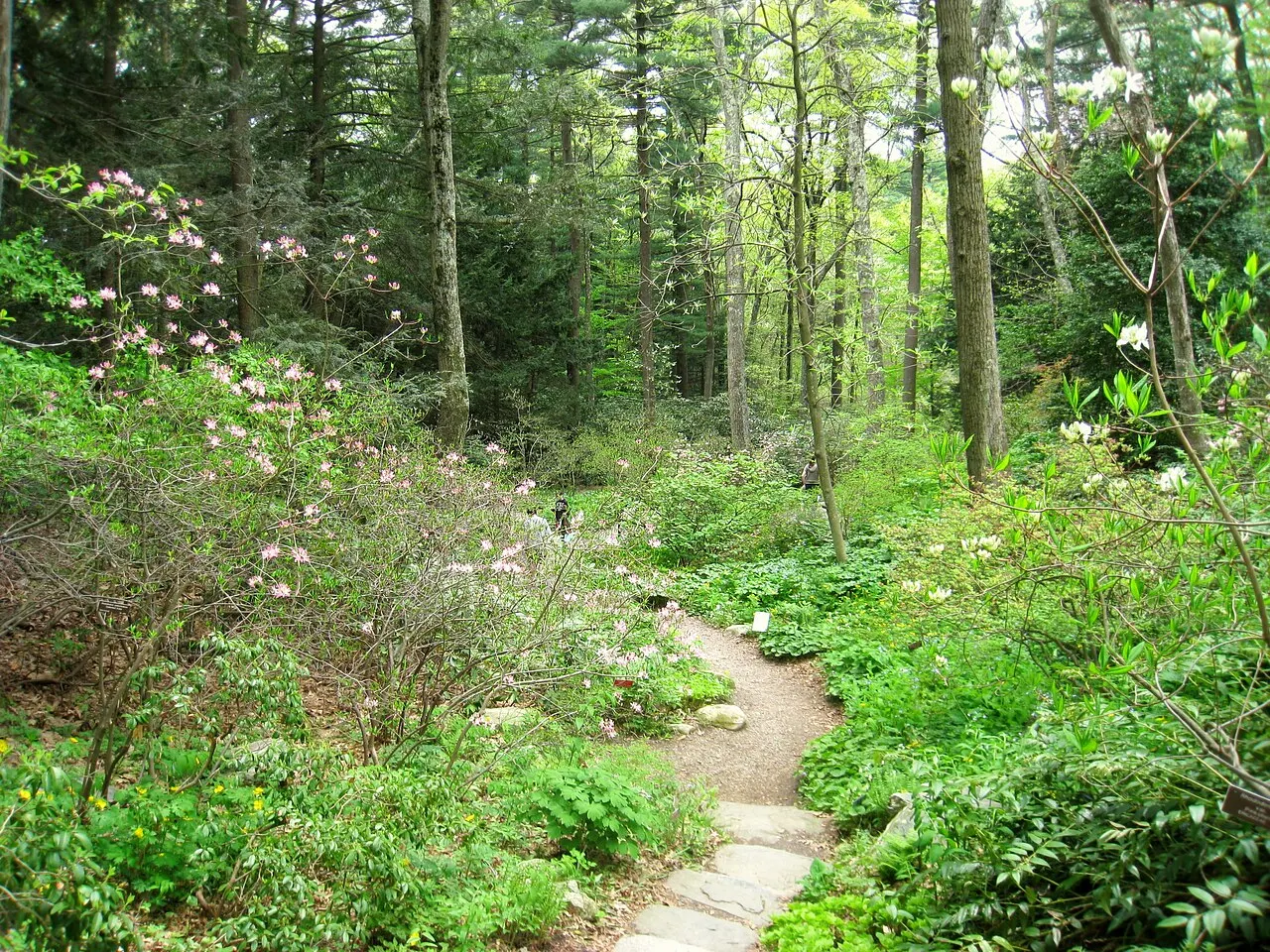 Framingham