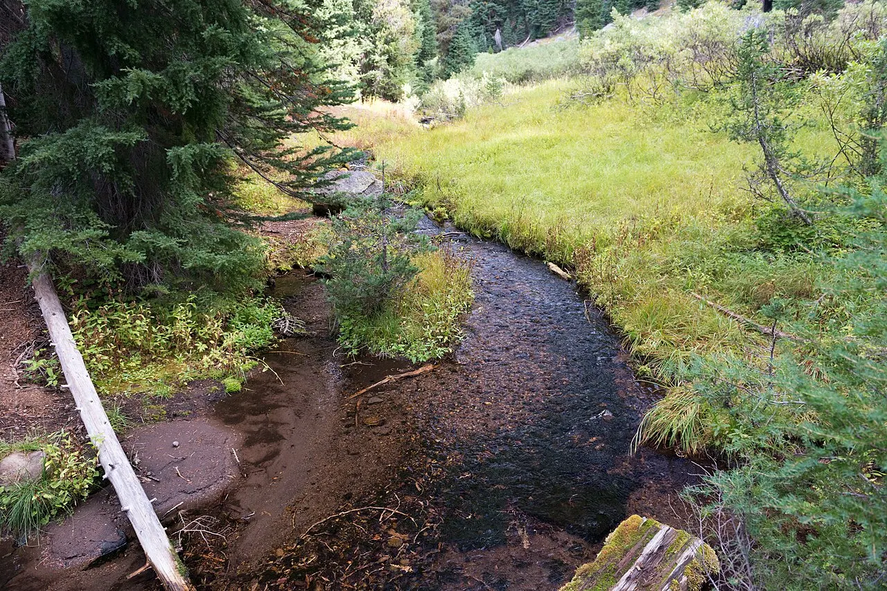 Castle Crest Wildflower Trail, Crater Lake National Park, Oregon, United States