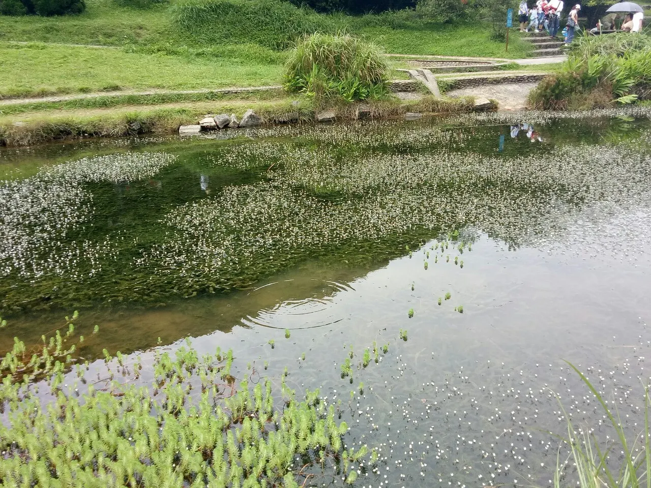 Yangmingshan National Park, Taipei, Taiwan