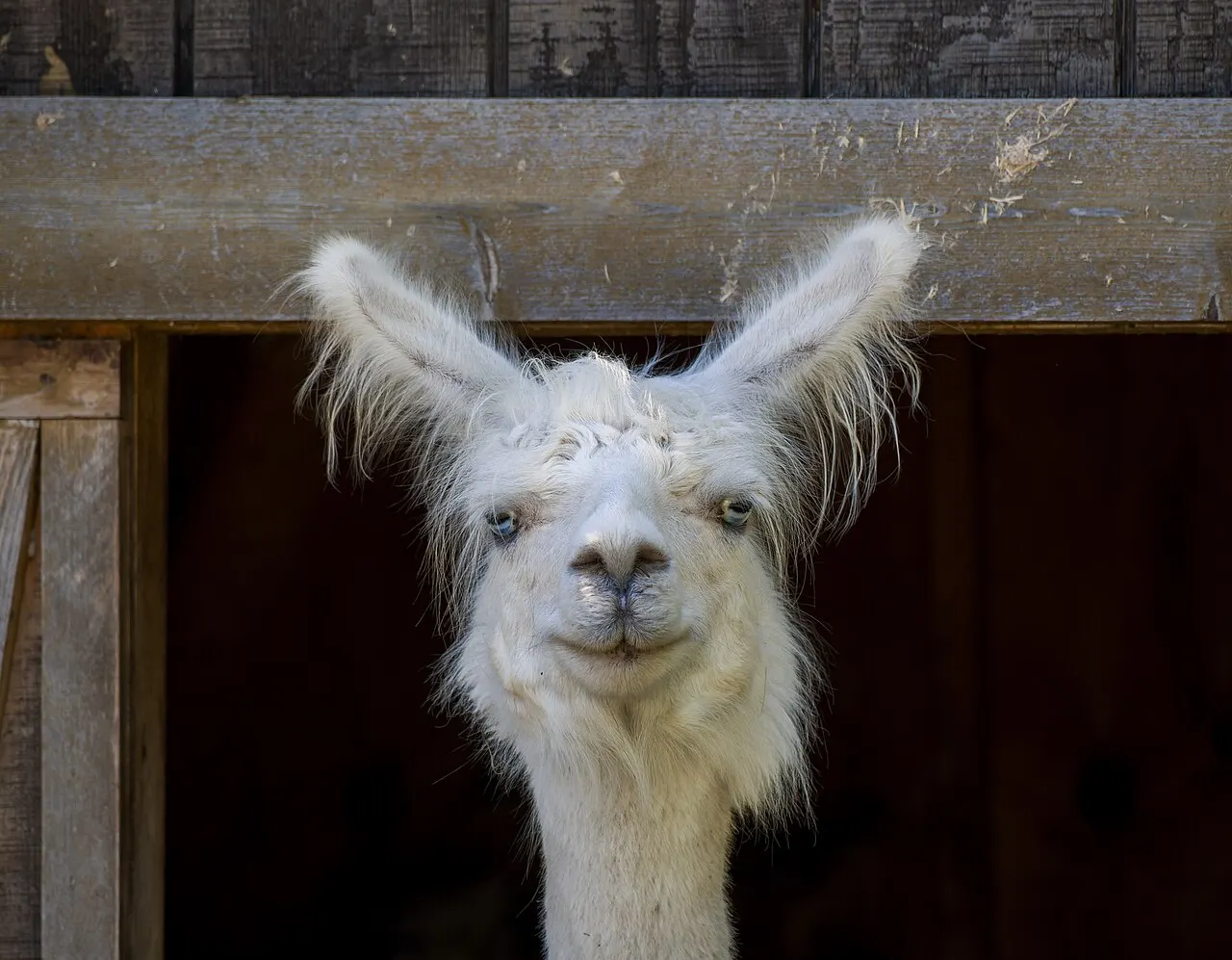 Menominee Park Zoo, Oshkosh, Wisconsin, United States