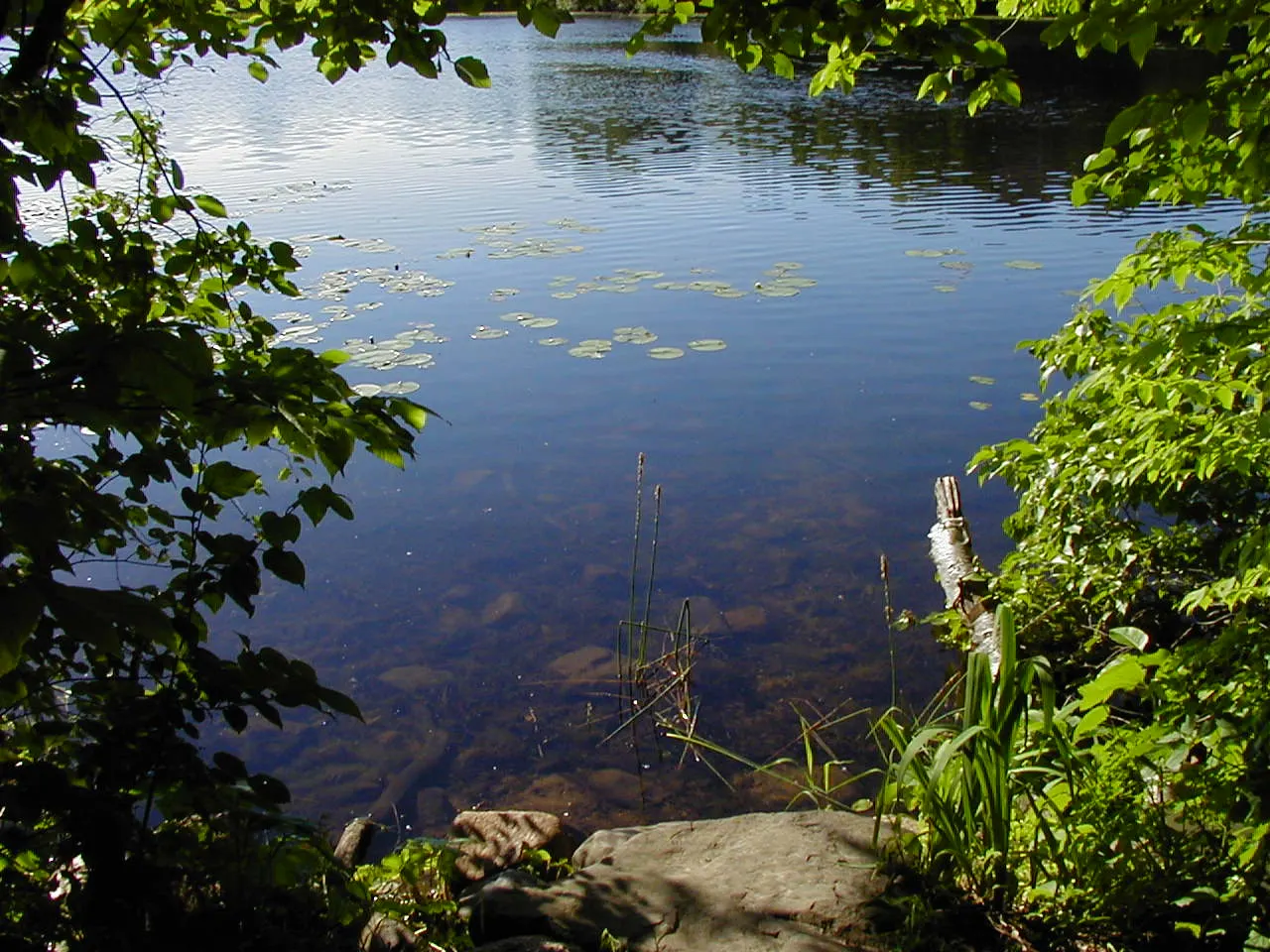 Lebanon Hills Regional Park, Eagan, Minnesota, United States