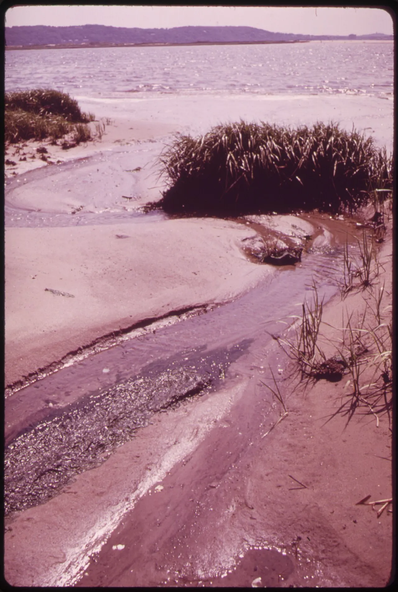 Sandy Hook, Middletown, New Jersey, United States