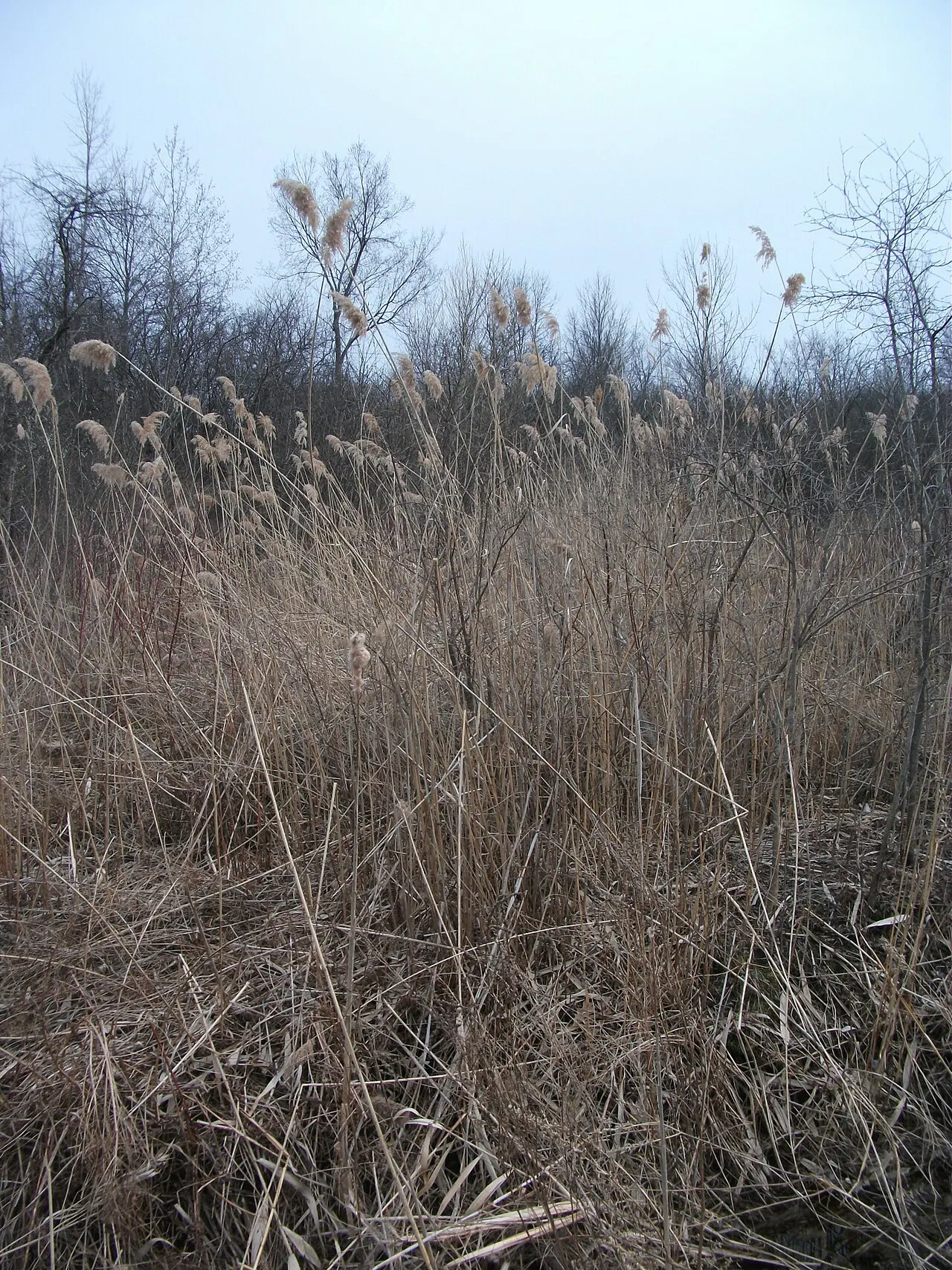 Mohawk-Hudson Bike-Hike Trail, Schenectady, New York, United States