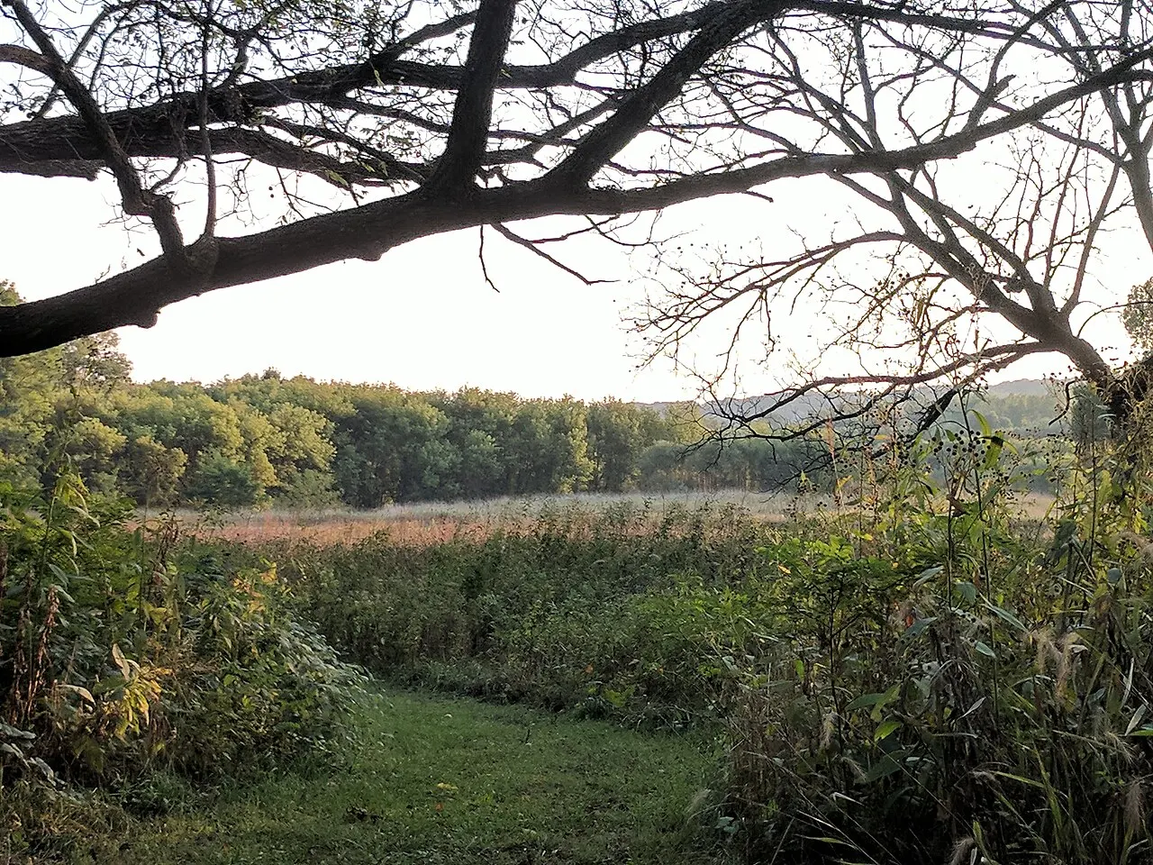 Ledges State Park, Ames, Iowa, United States