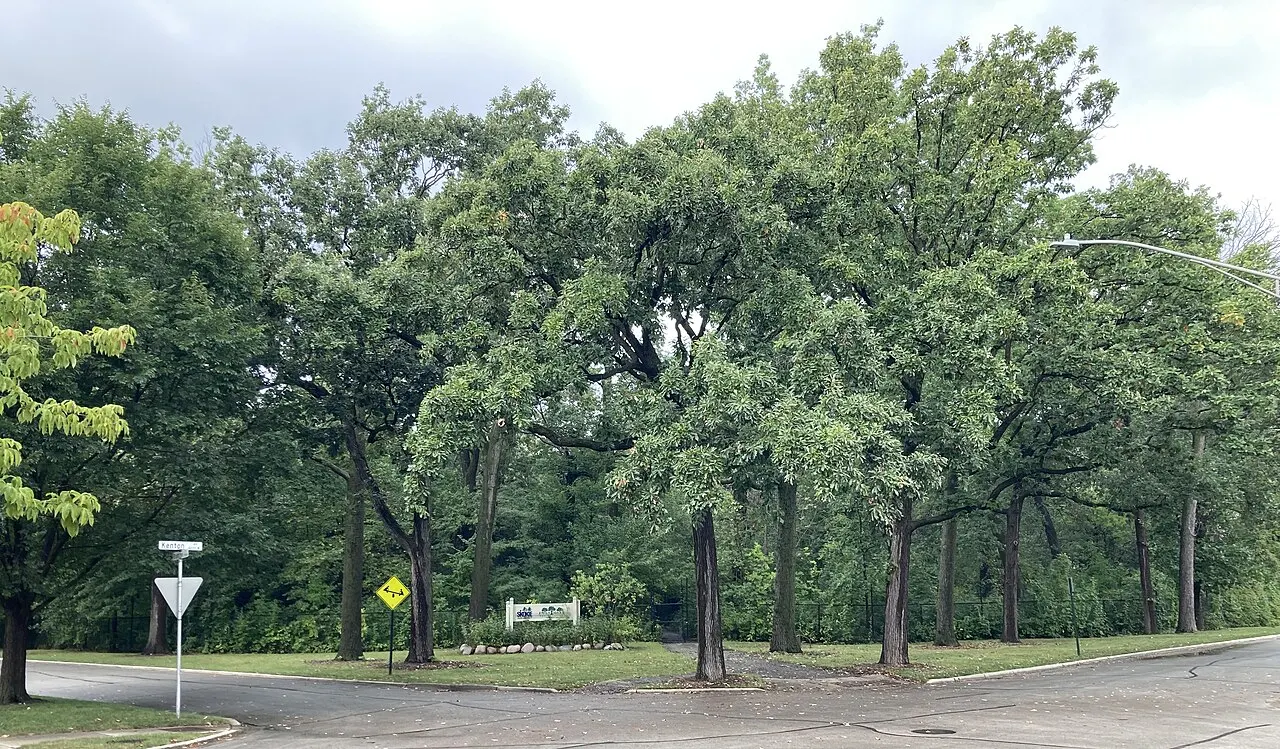 Emily Oaks Nature Center, Skokie, Illinois, United States