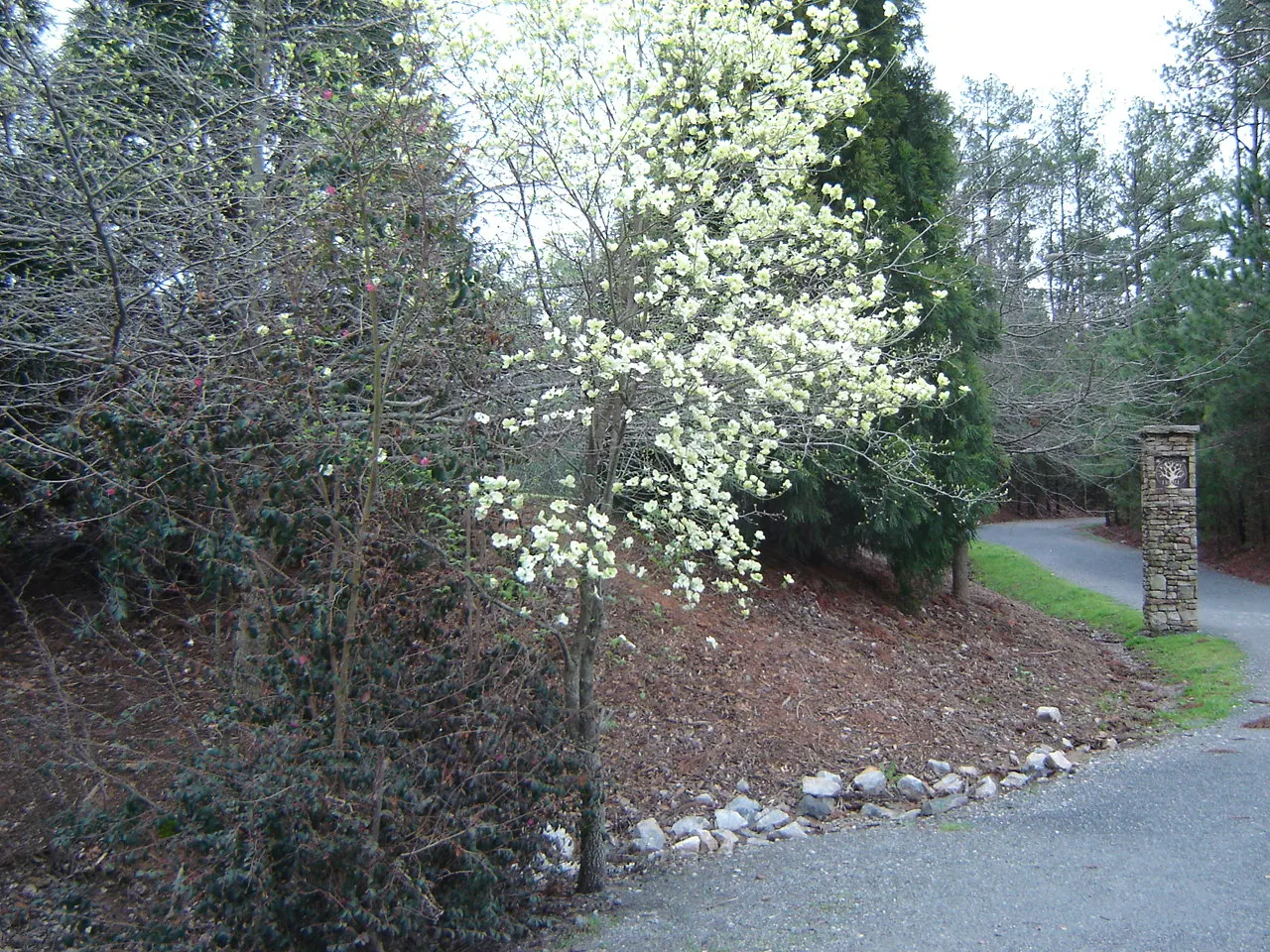 Webb Bridge Park, Alpharetta, Georgia, United States