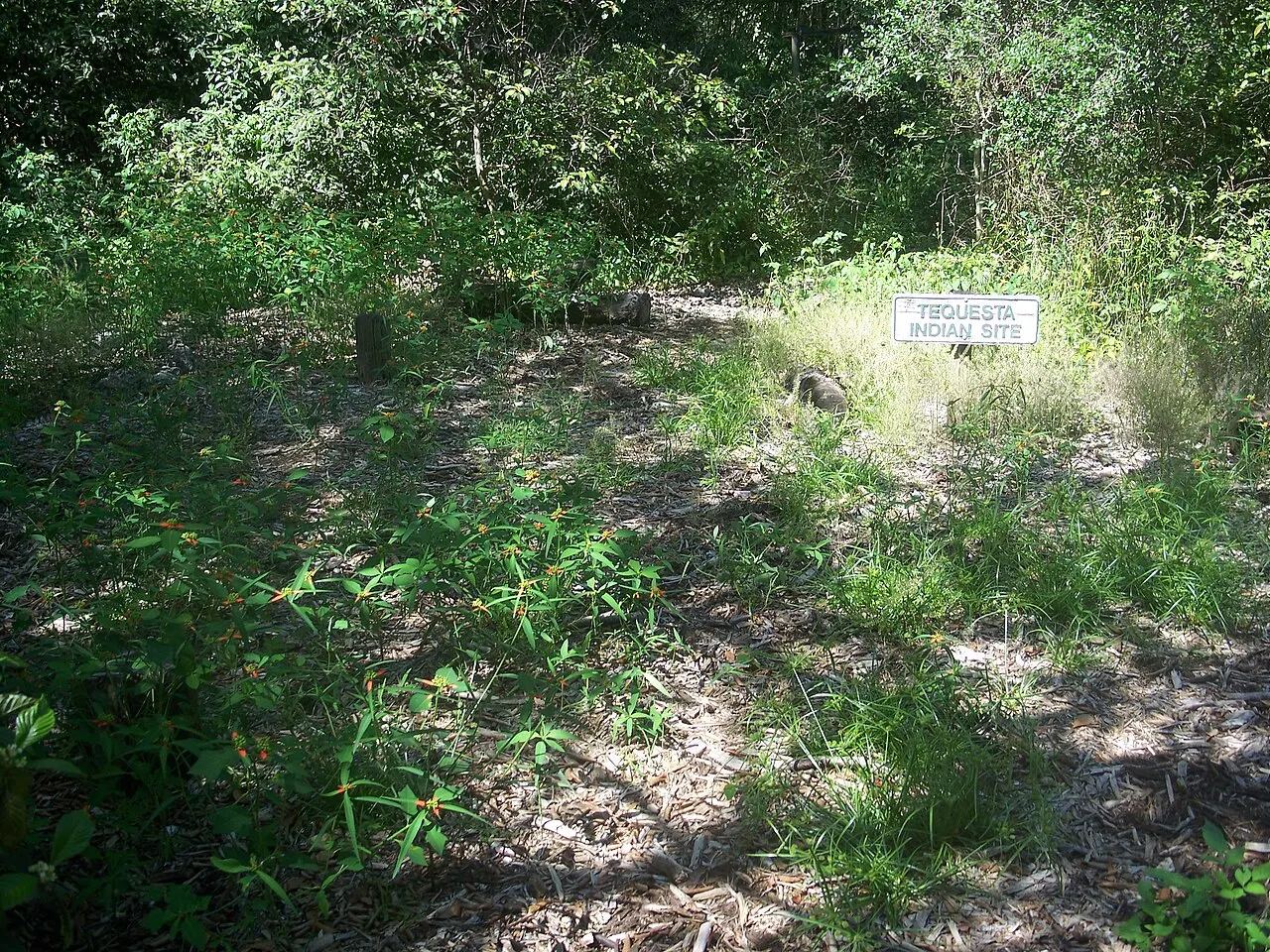 Arch Creek Park, North Miami, Florida, United States