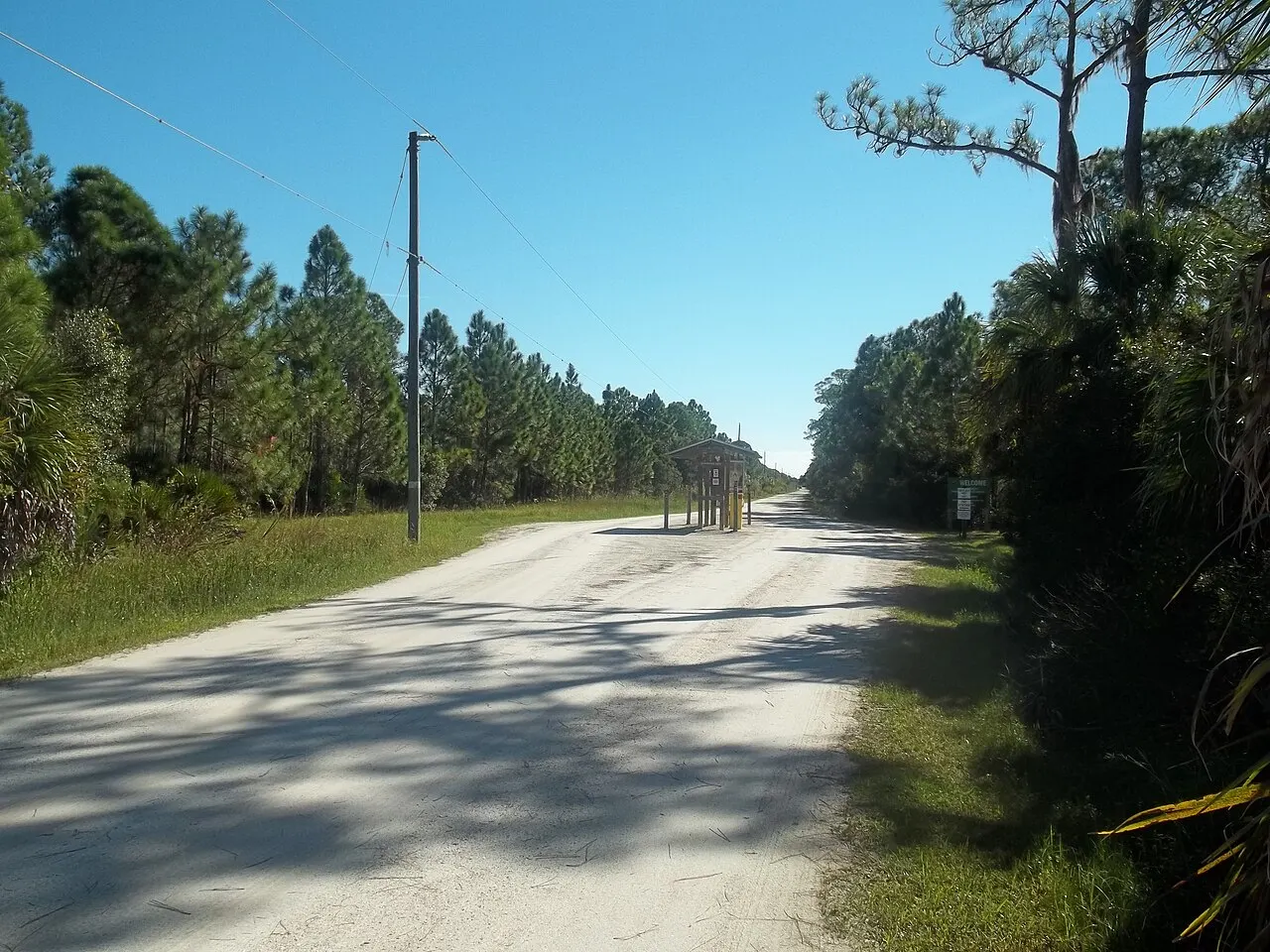 Myakka State Forest, North Port, Florida, United States