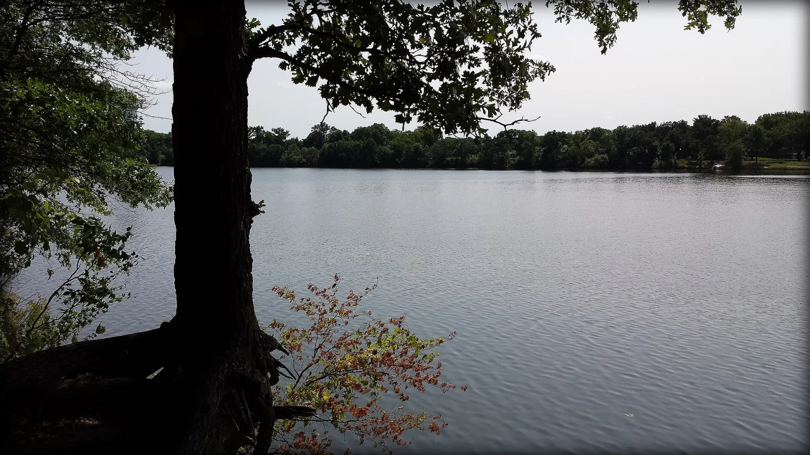 Coon Rapids, Minnesota, United States