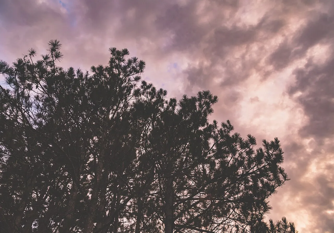 Bunker Hills Regional Park, Coon Rapids, Minnesota, United States
