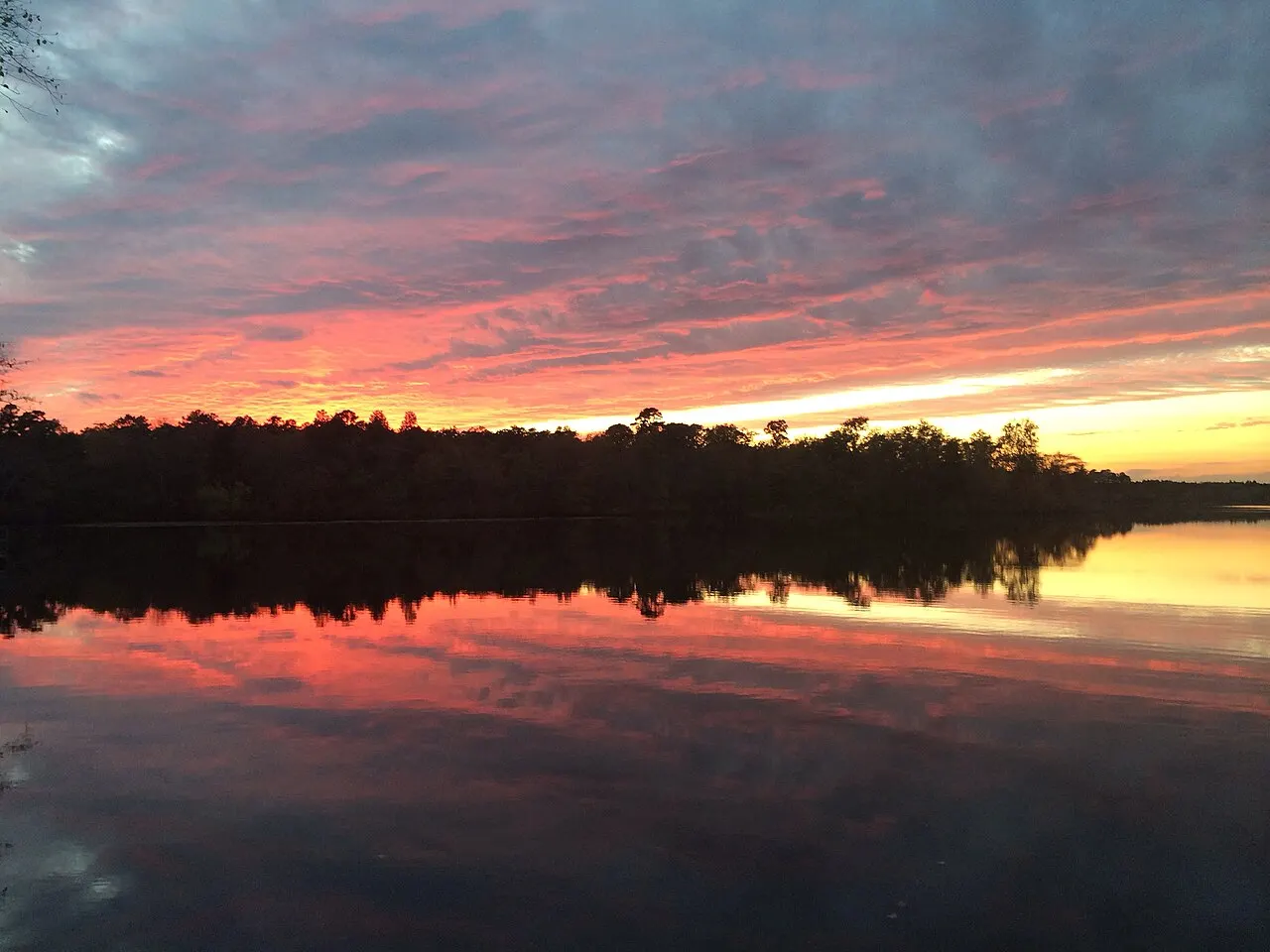 Parvin State Park, Vineland, New Jersey, United States