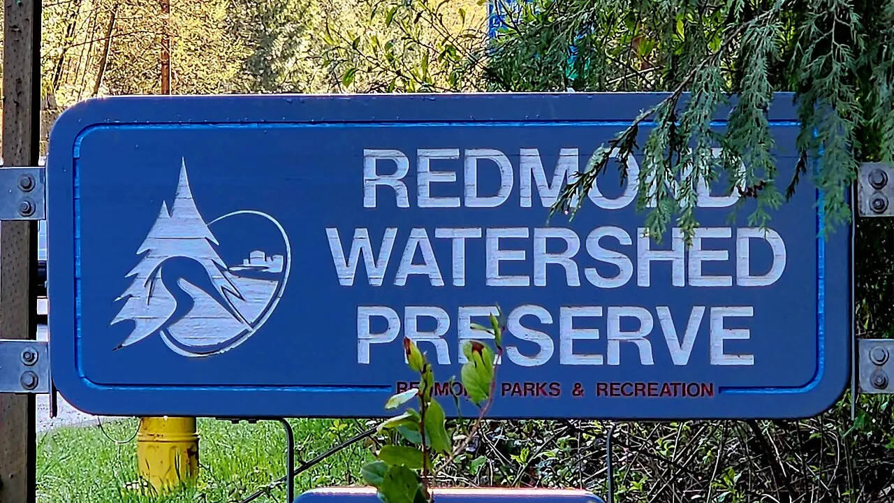 Redmond Watershed Preserve, Redmond, Washington, United States