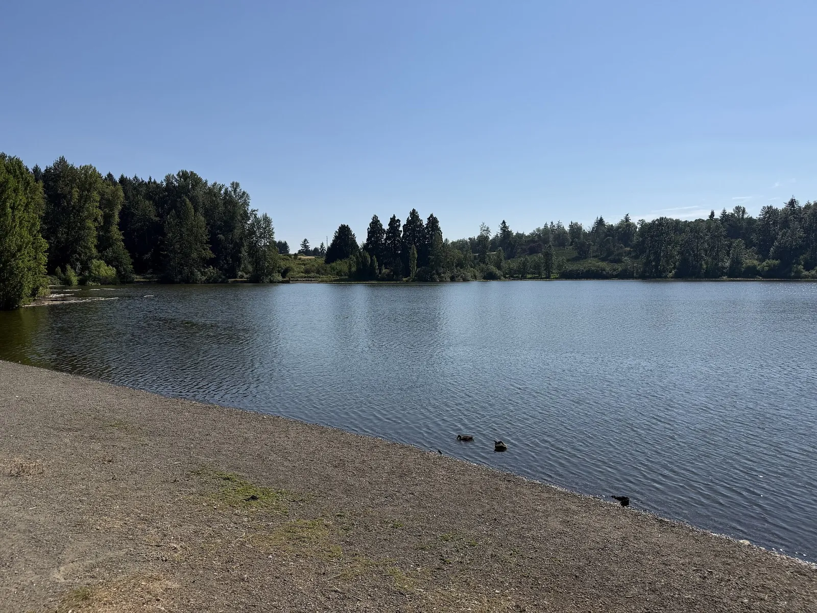 Beach at Waughop Lake, Lakewood, Washington, United States