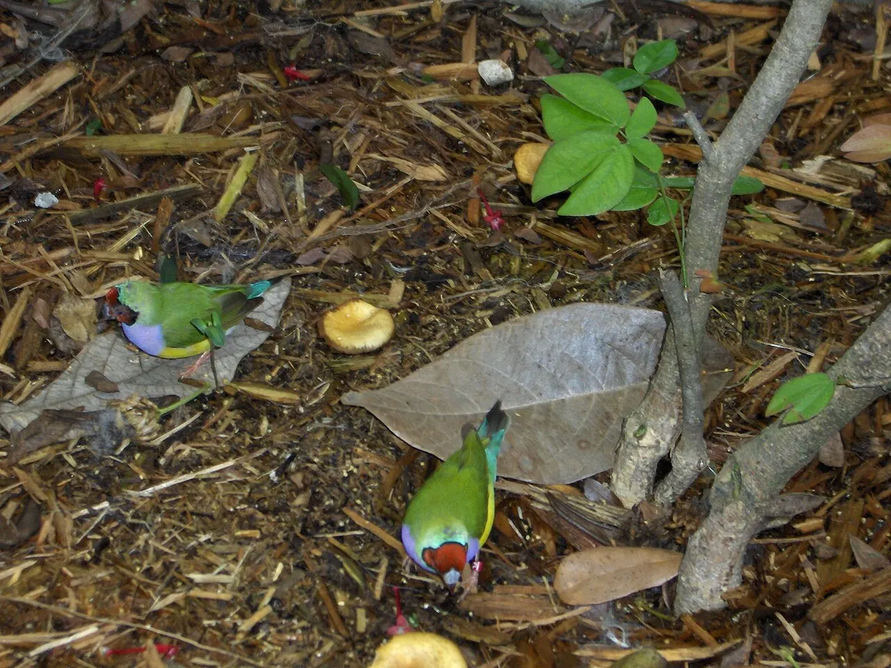 Tradewinds Park, Coconut Creek, Florida, United States