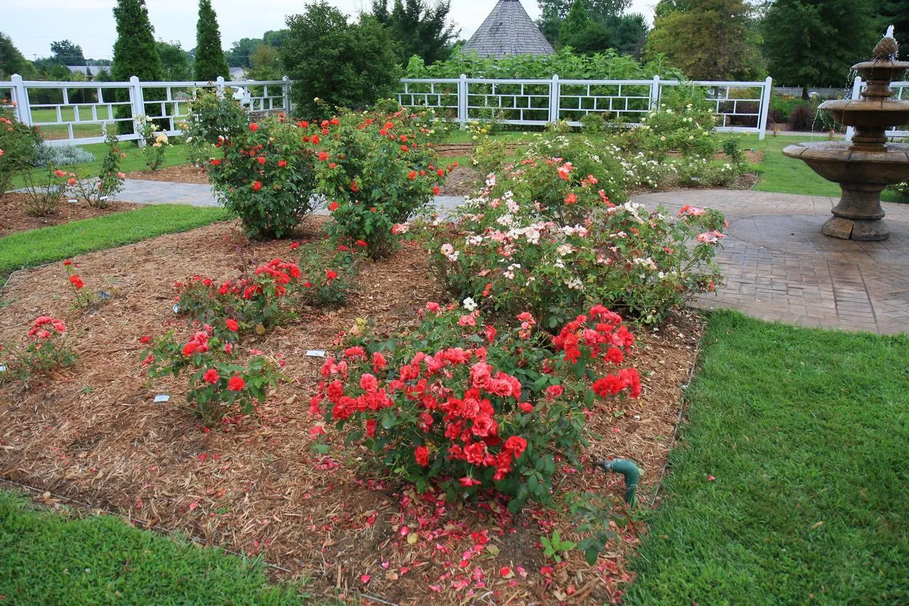 Western Kentucky Botanical Garden, Owensboro, Kentucky, United States