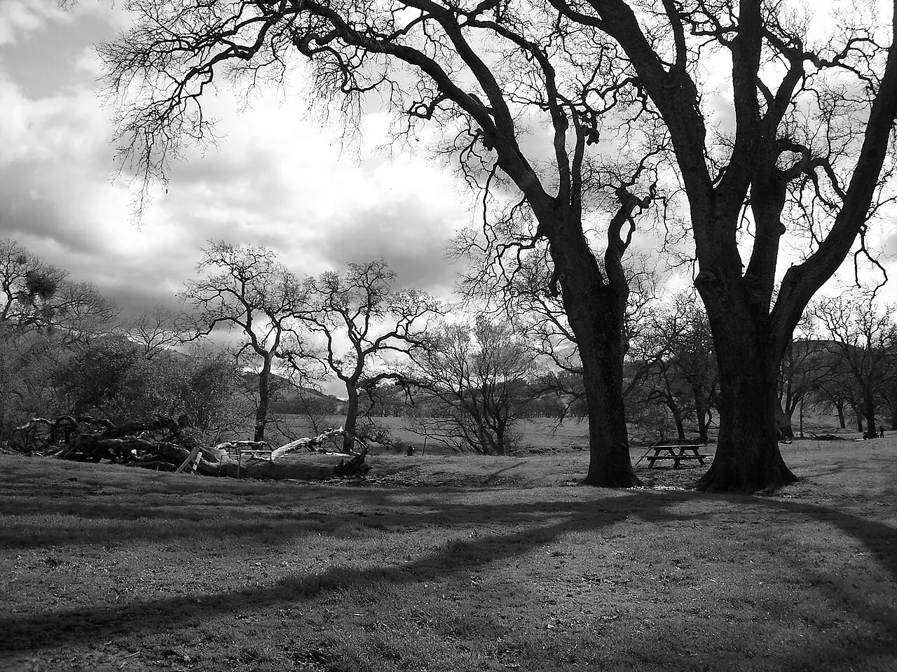 Round Valley Regional Preserve, Brentwood, California, United States