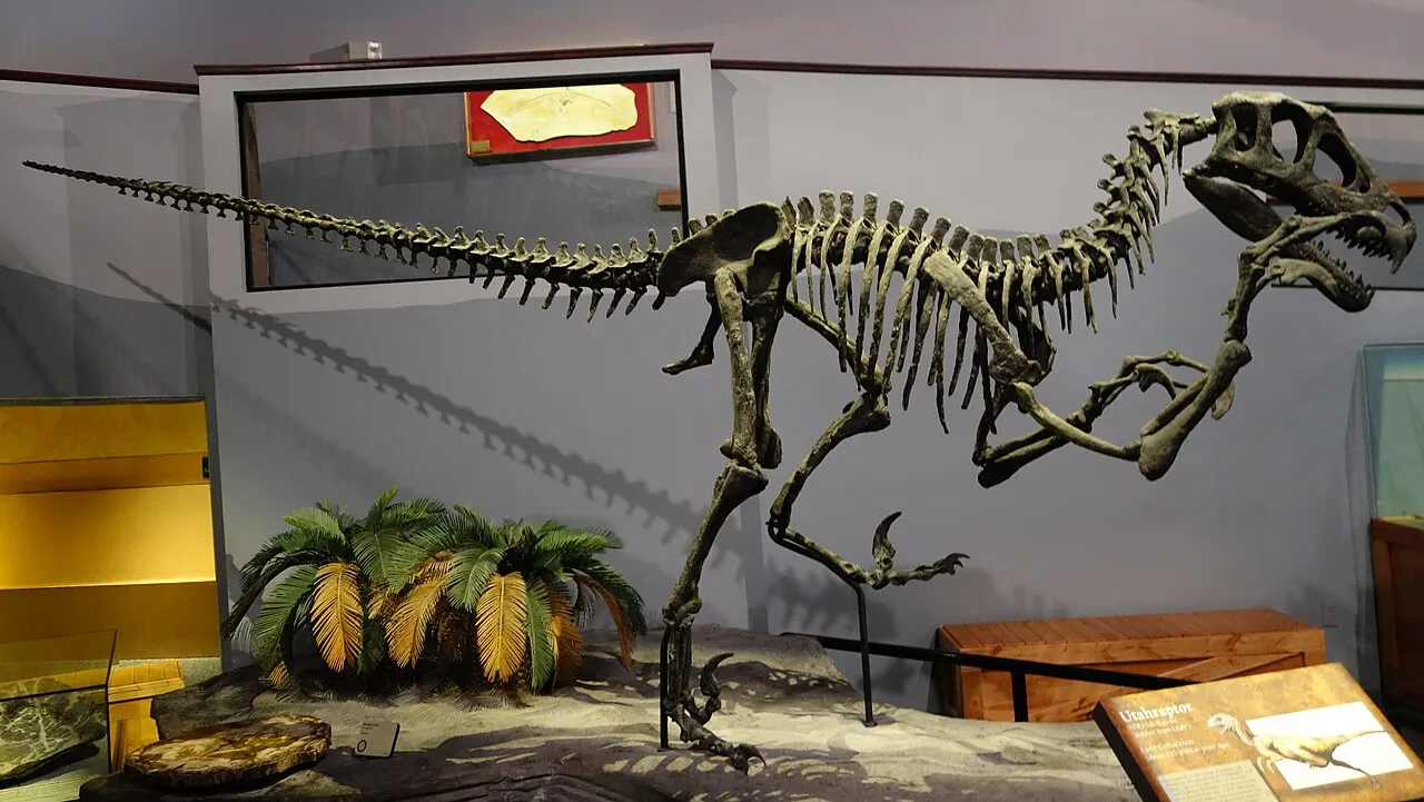 Museum of Ancient Life, Lehi, Utah, United States