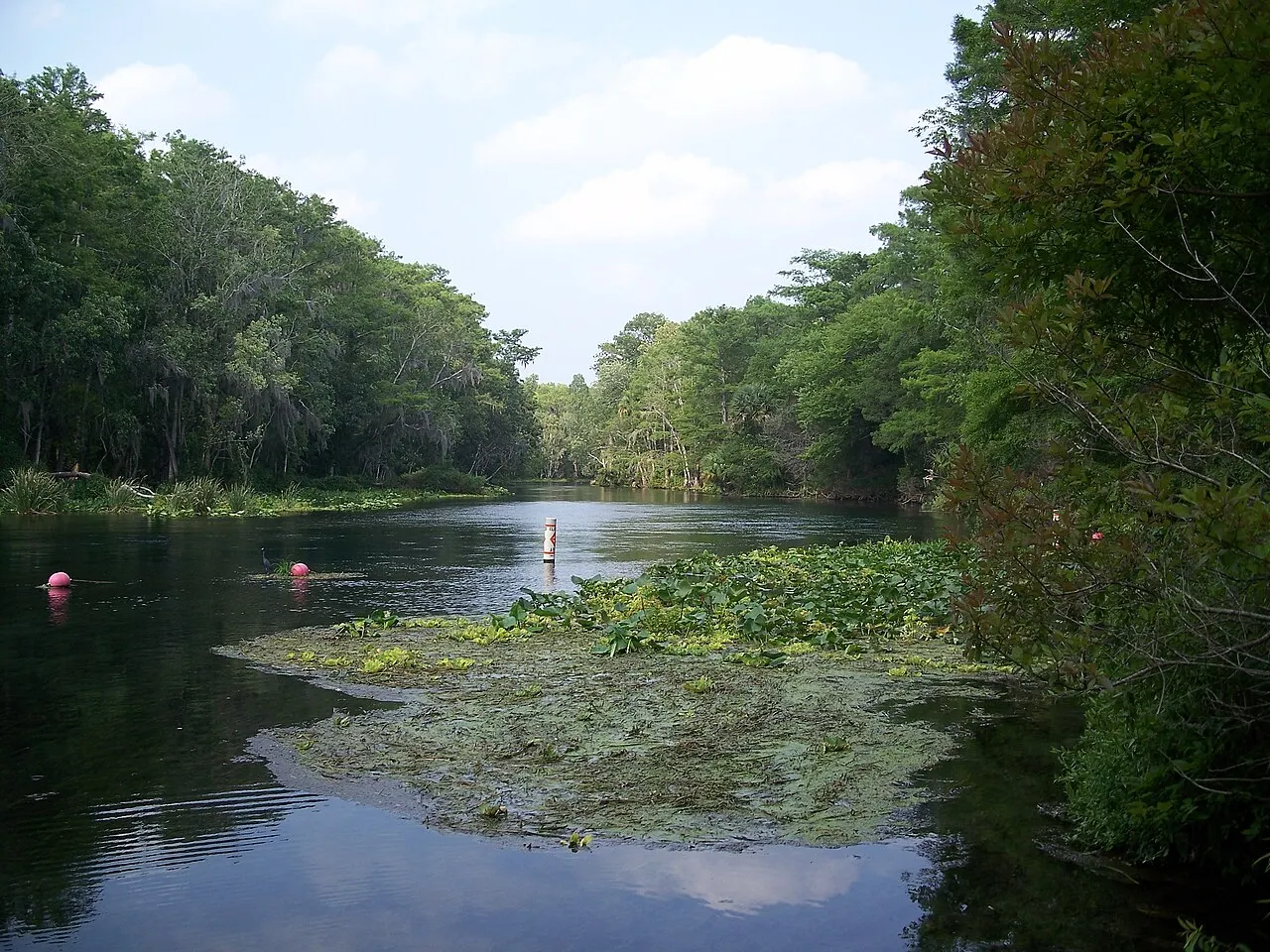 Silver Springs State Park, Ocala, Florida, United States