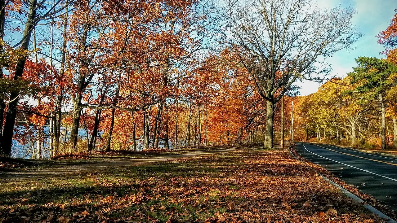 Mystic River Reservation, Medford, Massachusetts, United States