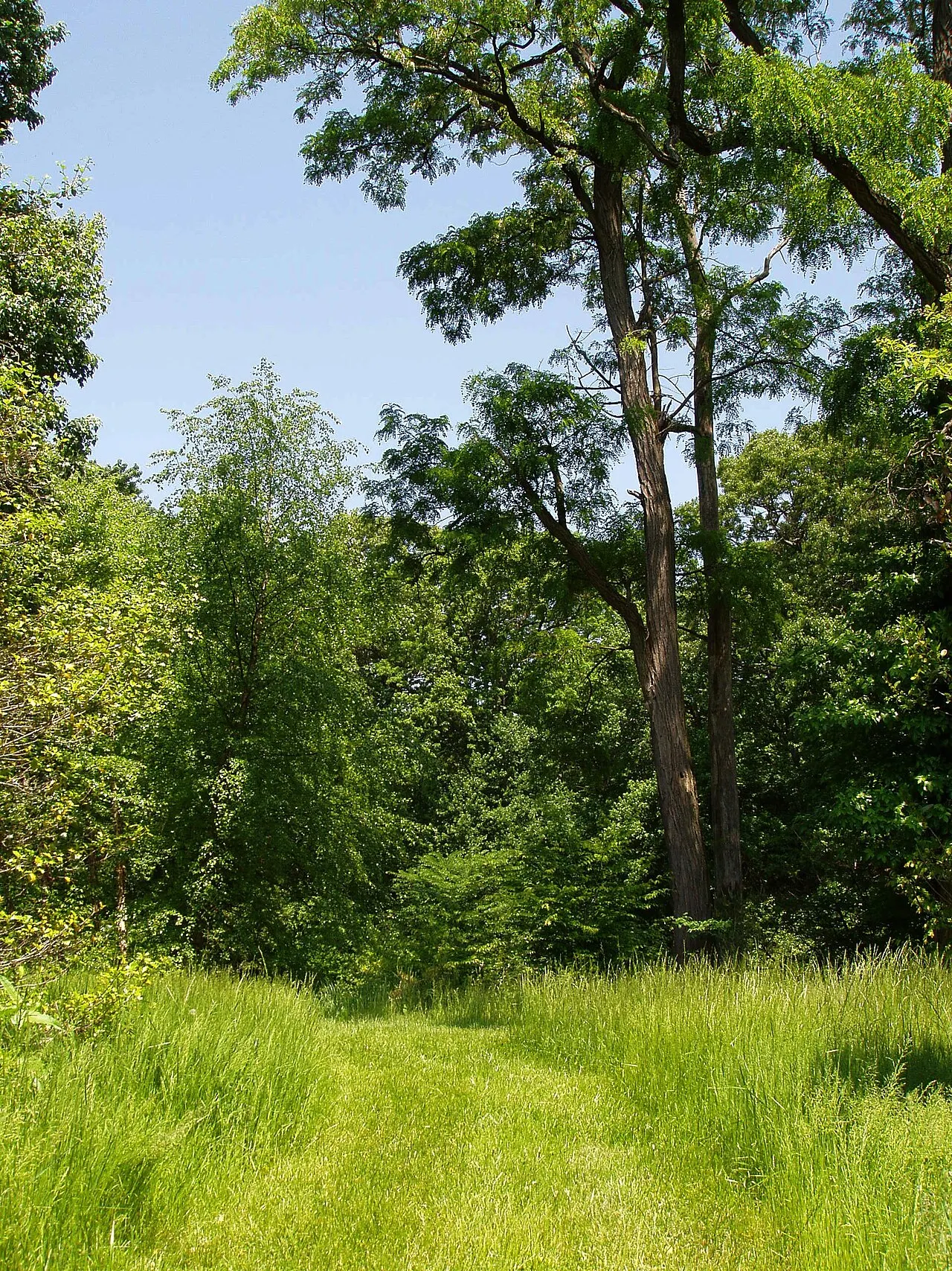 Rutgers Gardens, New Brunswick, New Jersey, United States