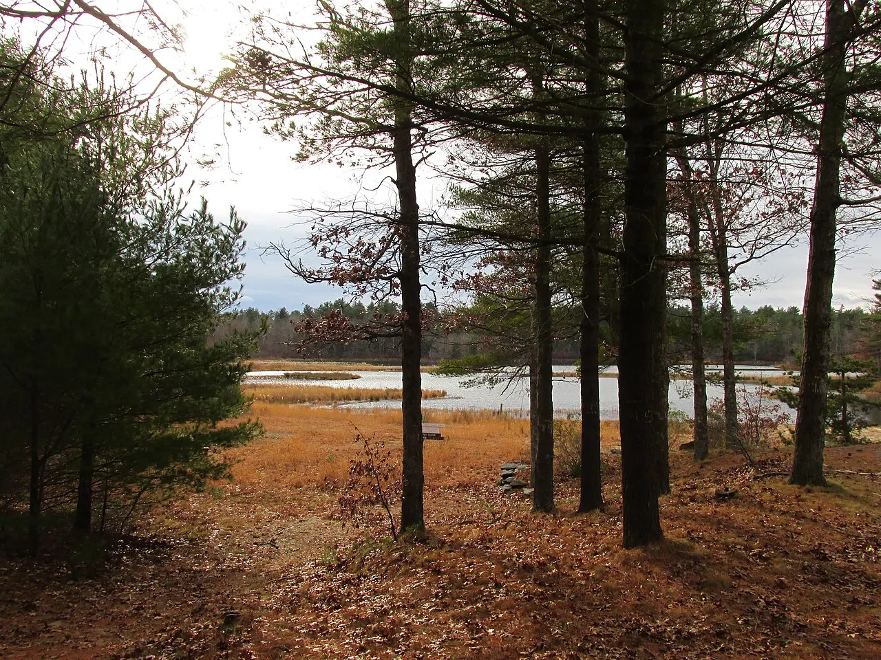 Massasoit State Park, Taunton, Massachusetts, United States