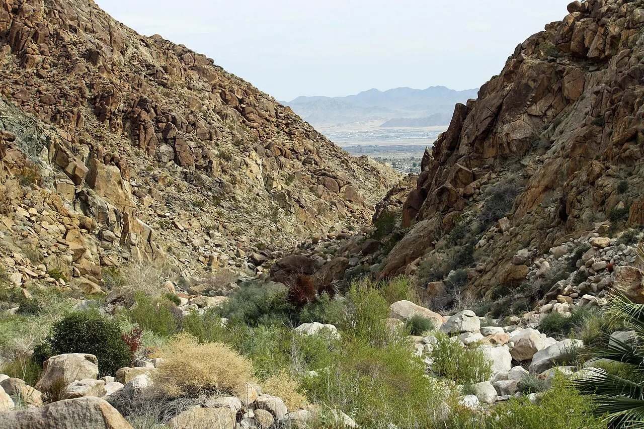 Fortynine Palms Oasis, Joshua Tree National Park, California, United States