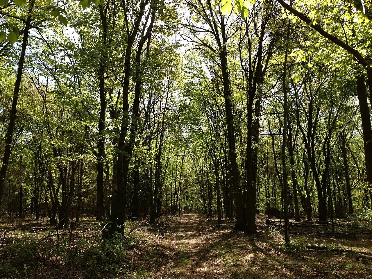 Rutgers Ecological Preserve, Piscataway, New Jersey, United States