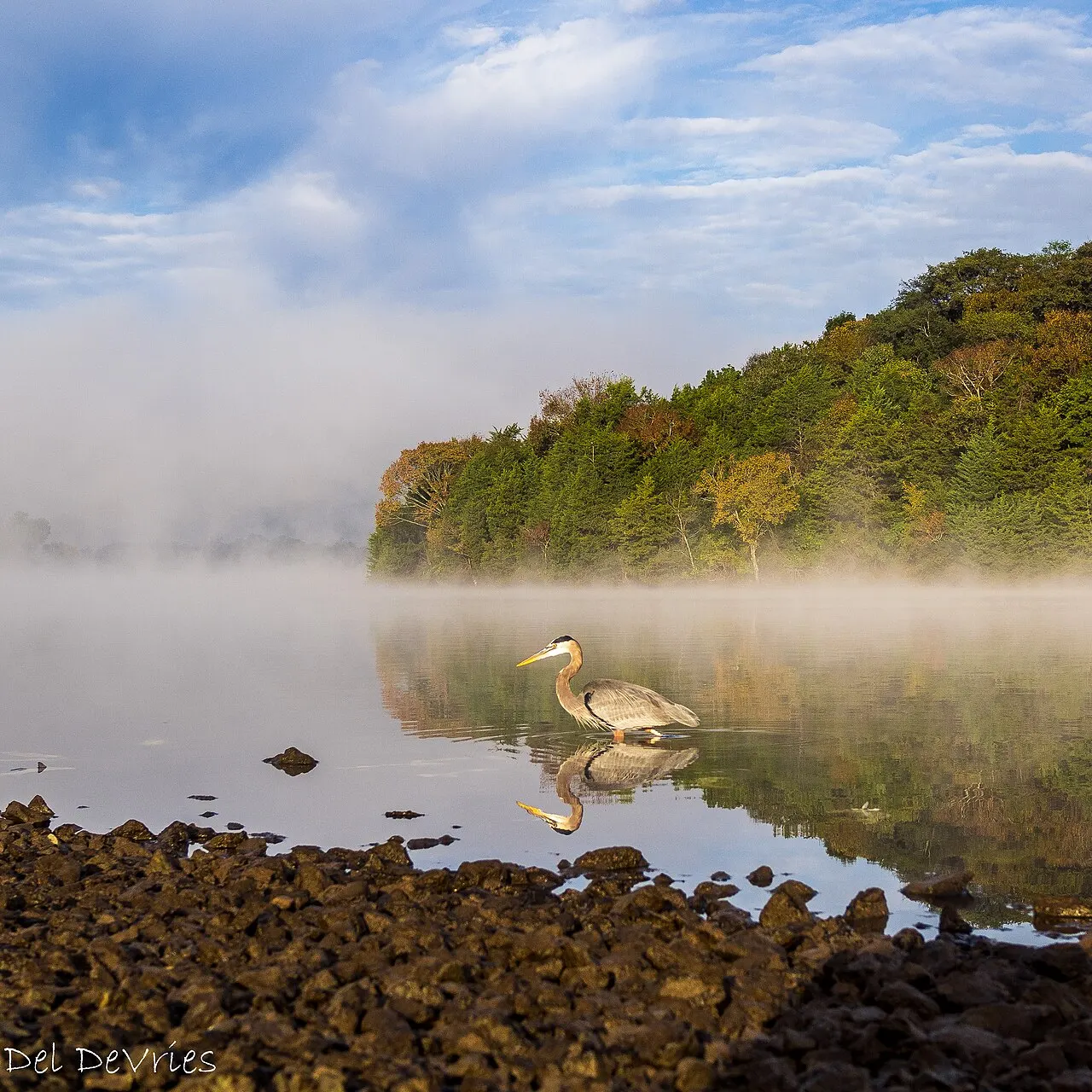 Old Hickory Lake, Hendersonville, Tennessee, United States