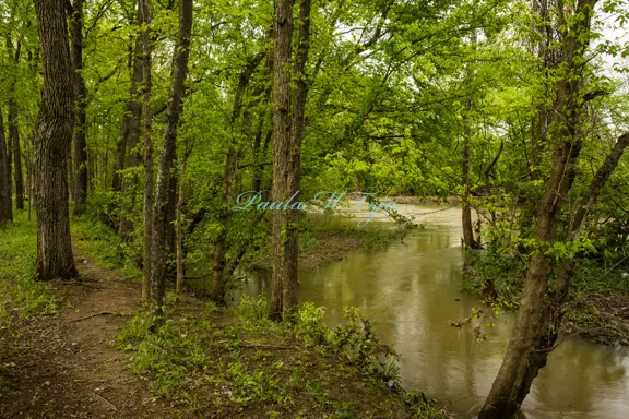Drakes Creek Park, Hendersonville, Tennessee, United States