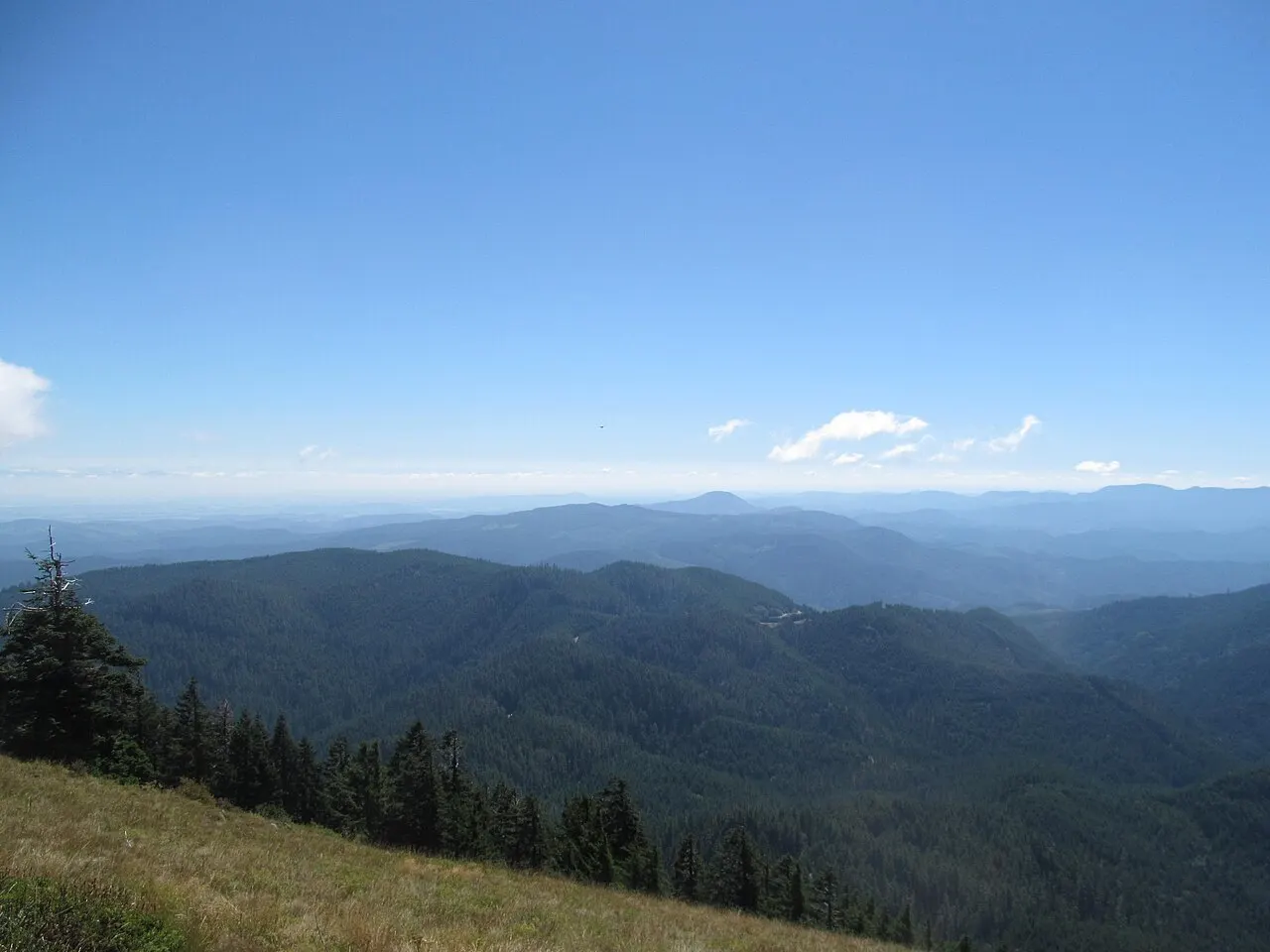 Marys Peak, Corvallis, Oregon, United States