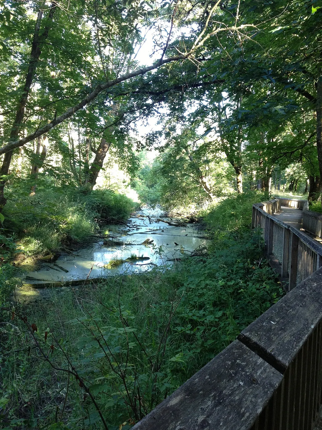 Billy Frank Jr. Nisqually National Wildlife Refuge, Olympia, Washington, United States