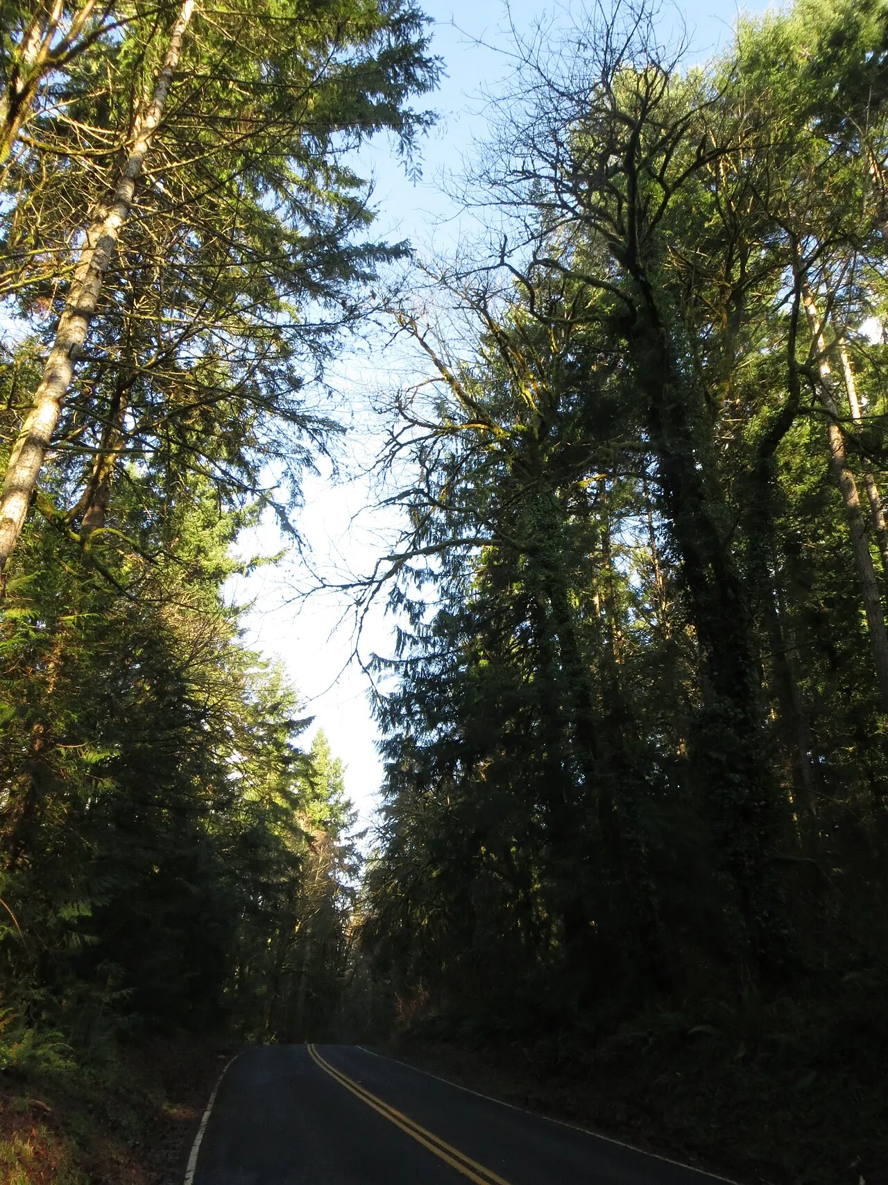 Priest Point Park, Olympia, Washington, United States
