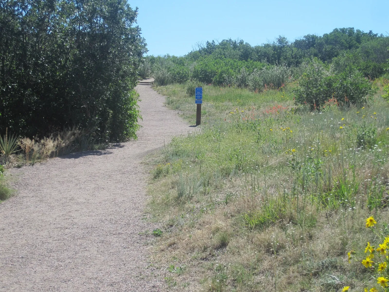 Trail at Rock Park, Castle Rock, CO IMG 5207, Castle Rock, Colorado, United States