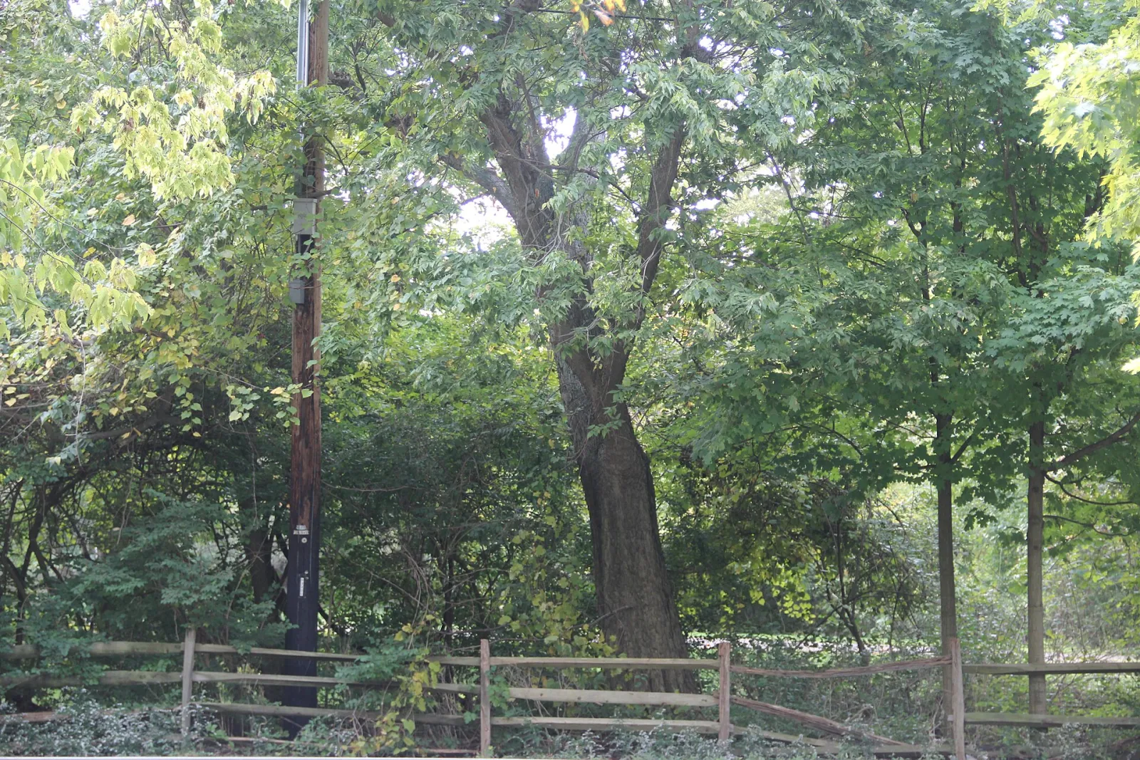 Fox Hollow 2, Kettering, Ohio, United States