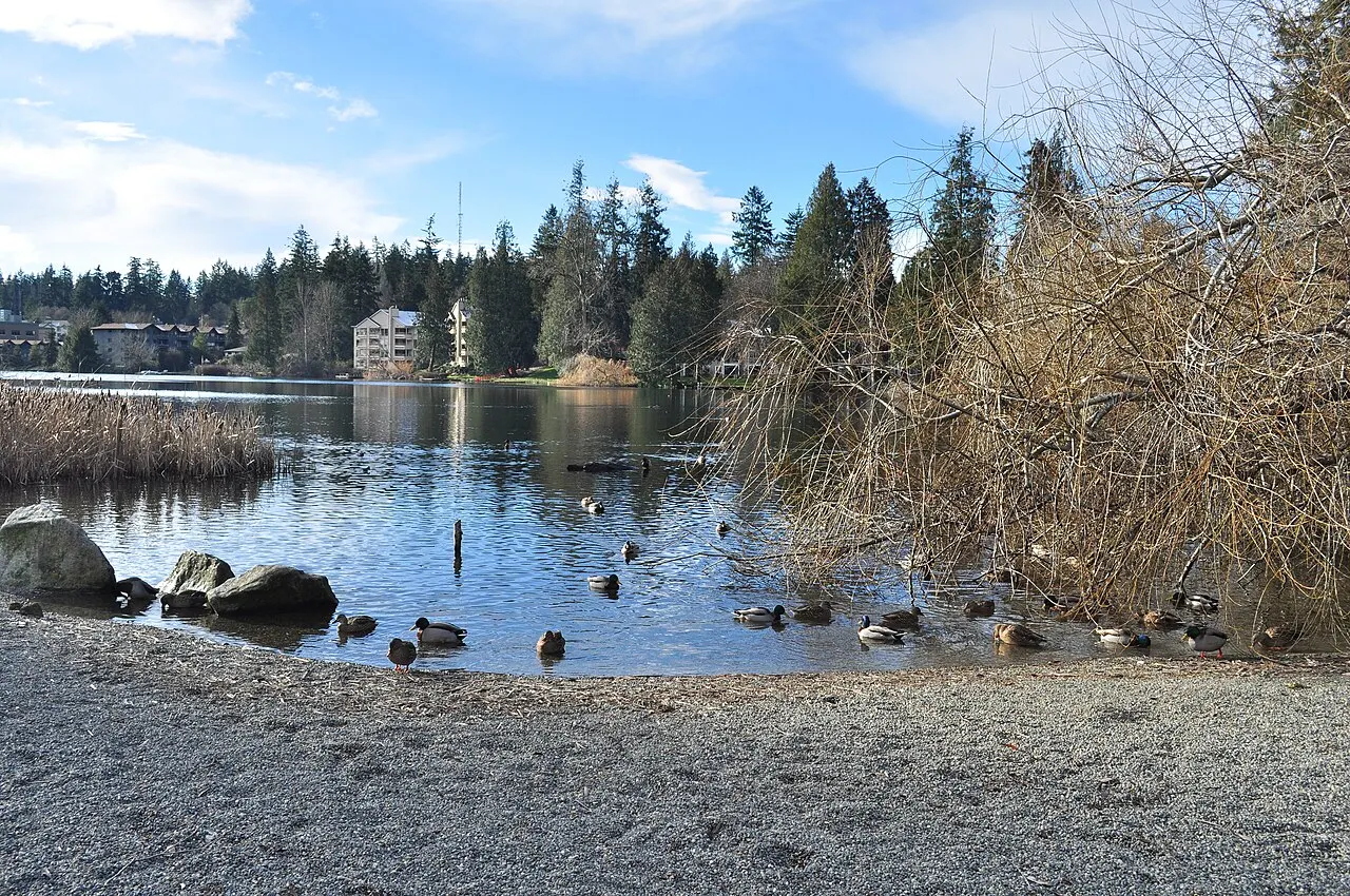 Echo Lake Park, Shoreline, Washington, United States