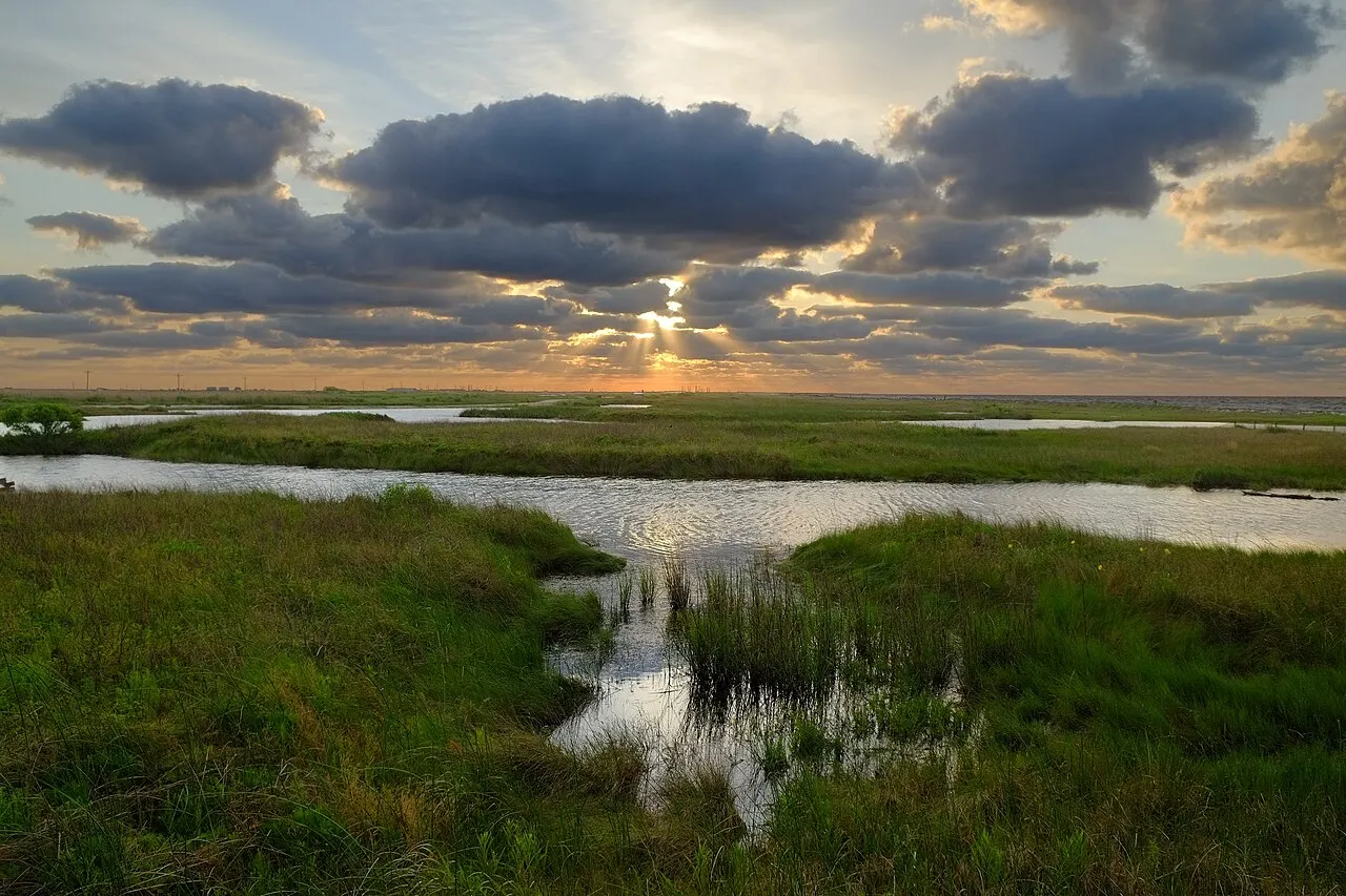 Sea Rim State Park, Port Arthur, Texas, United States