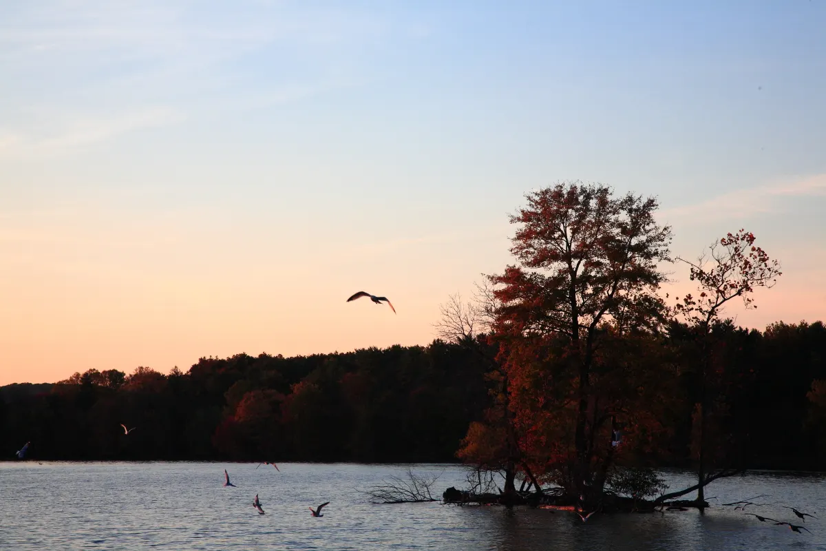Loch Raven Reservoir, Towson, Maryland, United States