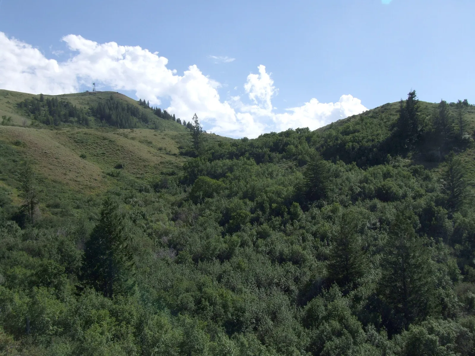 Pocatello, Idaho, United States