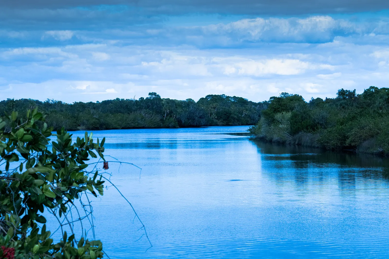 Bradenton