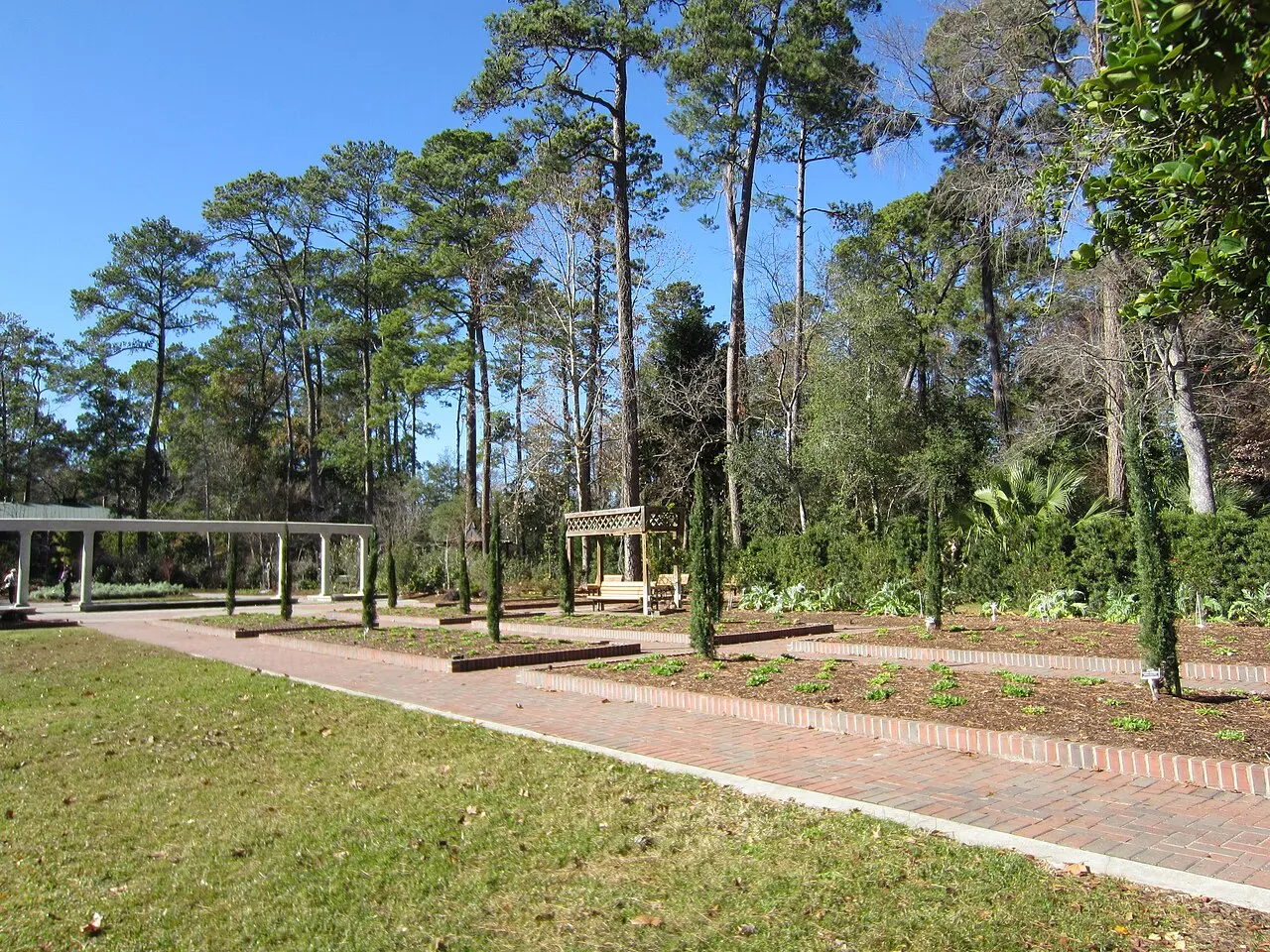 Mercer Botanic Gardens, Spring, Texas, United States