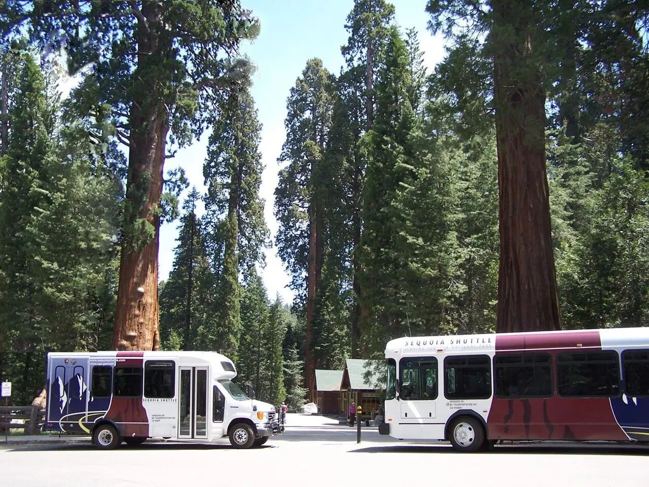 Giant Forest Museum, Sequoia and Kings Canyon National Parks, California, United States