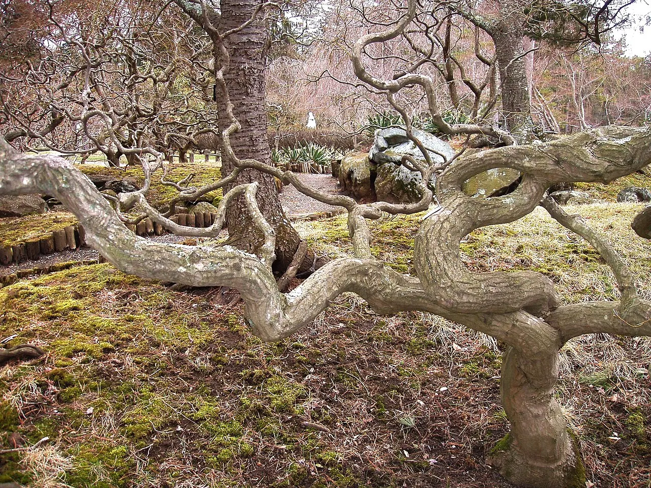 Georgian Court University Gardens, Lakewood, New Jersey, United States