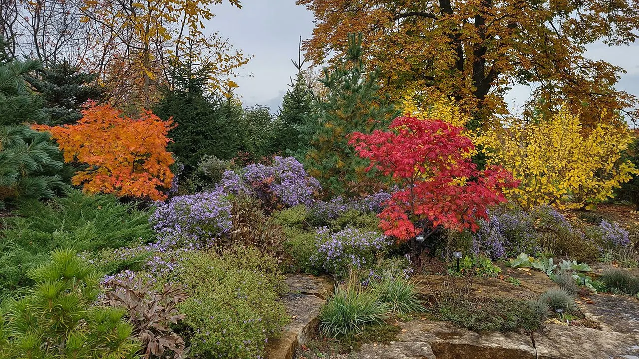 Cantigny Park, Wheaton, Illinois, United States