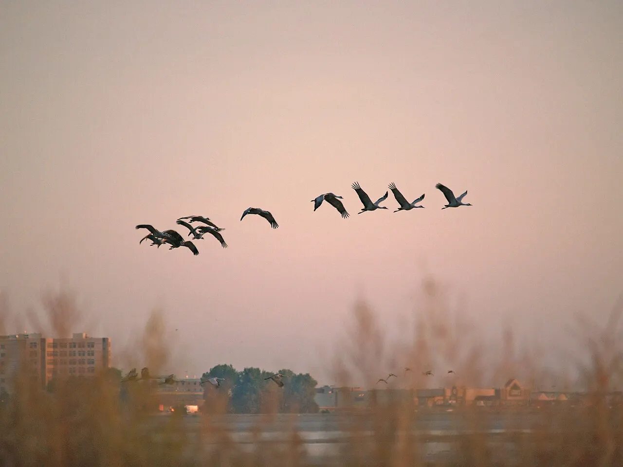 Barr Lake State Park, Commerce City, Colorado, United States