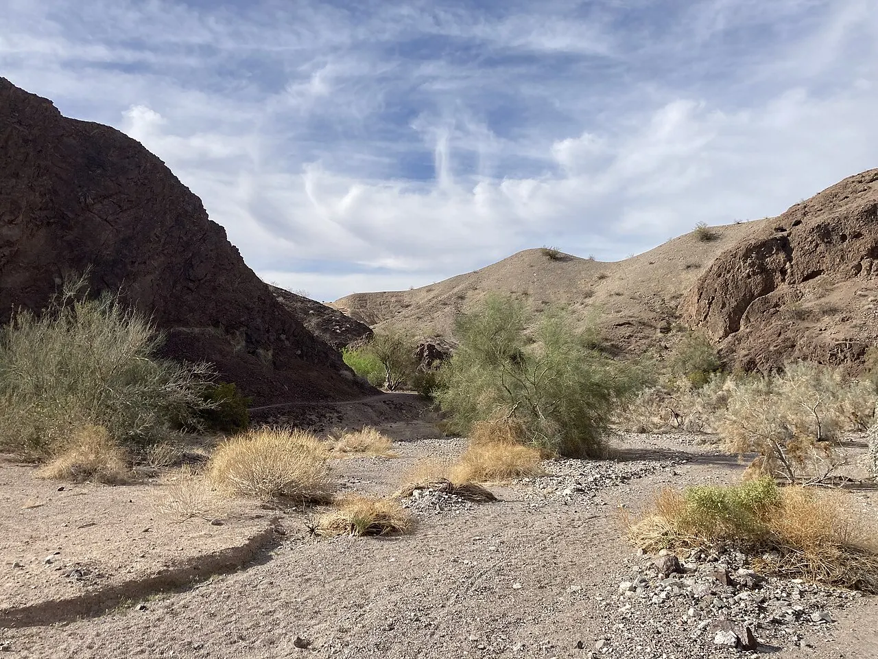Cattail Cove State Park, Lake Havasu City, Arizona, United States