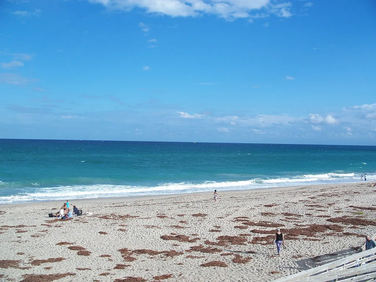 John D. MacArthur Beach State Park, Palm Beach Gardens, Florida, United States