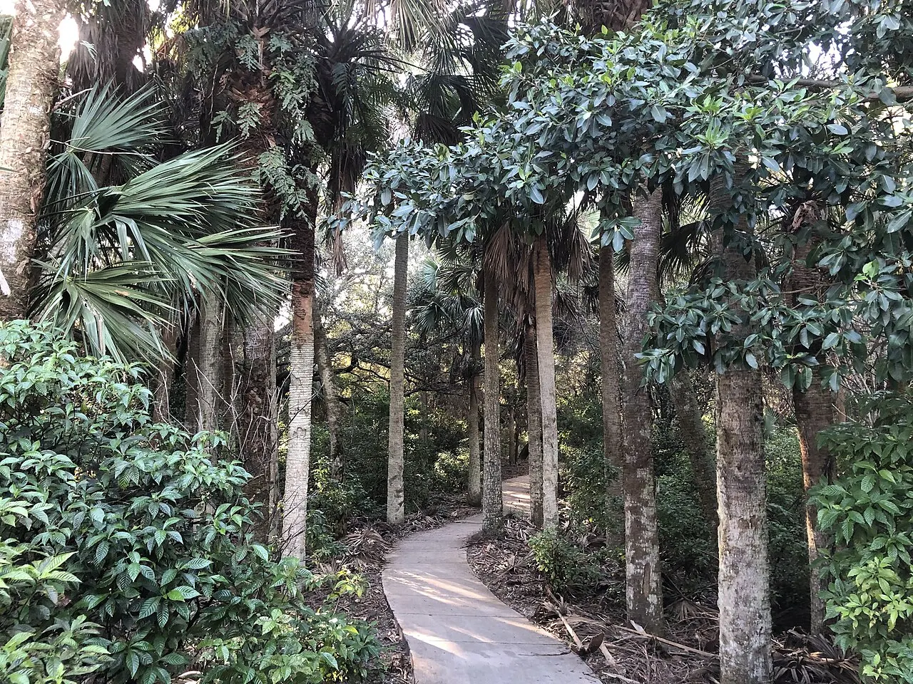 Frenchman's Forest Natural Area, Palm Beach Gardens, Florida, United States