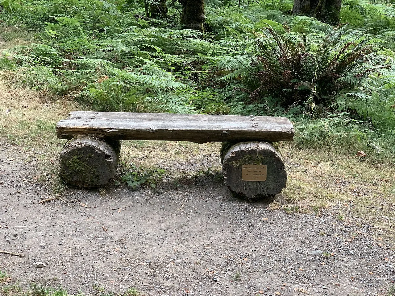 Soaring Eagle Regional Park, Sammamish, Washington, United States